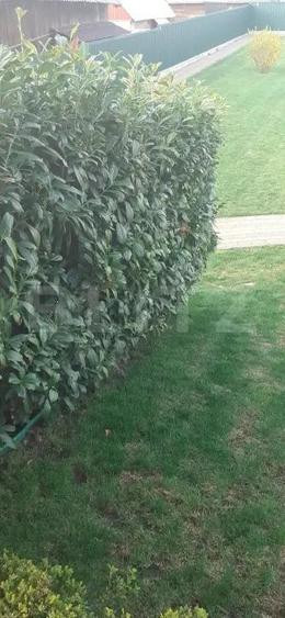 Casa/Vila 236 mp utili, 2743 mp teren, zona Mereni - Salcea - 15