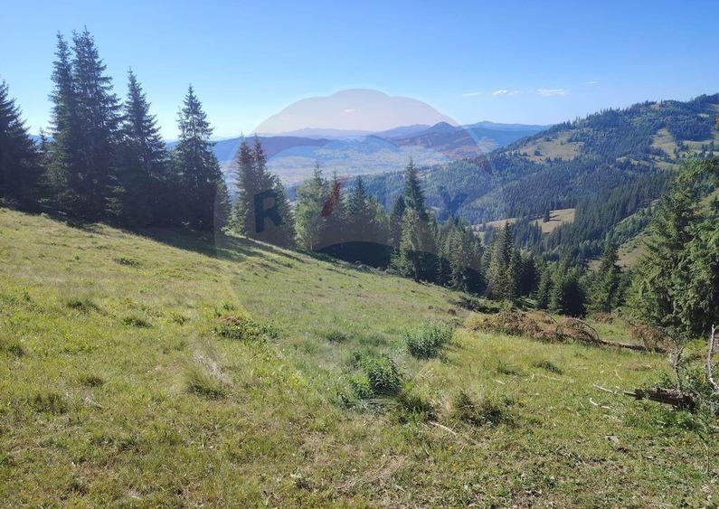 Teren 24,581mp Panaci / Strada Mihaile? - 2