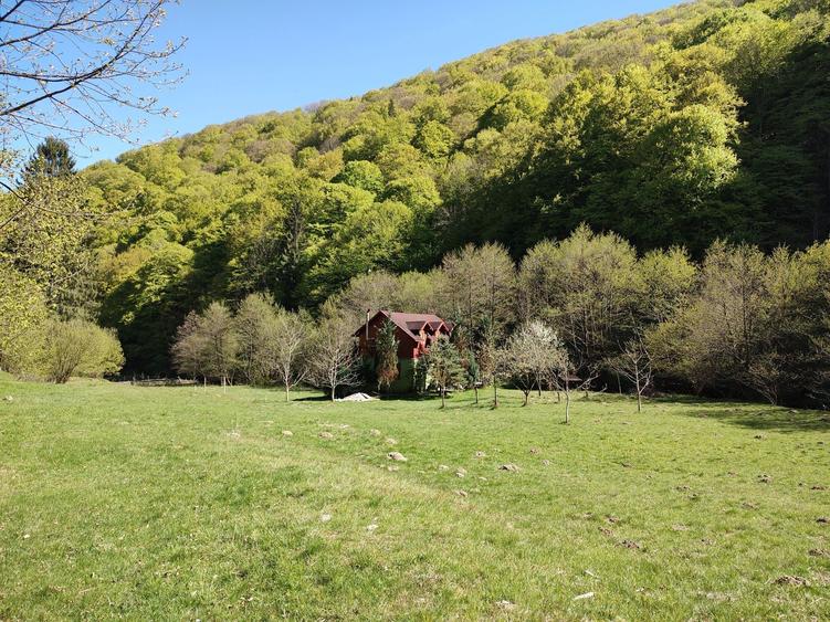 Vand casa de vacanta extravilan zona Baraj Gura Raului - coada lacului - 7
