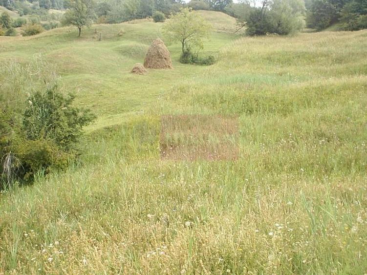 Teren extravilan de vanzare in Telega - 3