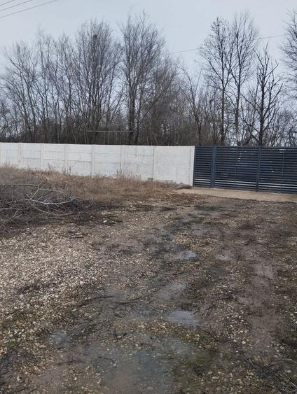 De vinzare Teren intravilan- COLANU- ULMI - 7