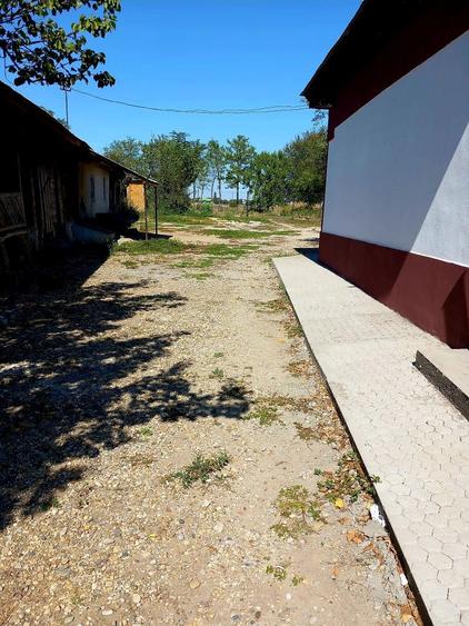 Casa spatioasa comuna Furculesti, judetul Teleorman - 6