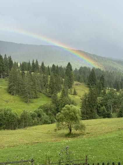 Teren de vanzare la munte in Bucovina - 7