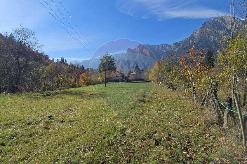 Teren intravilan cu vedere spectaculoasa spre Crucea Caraiman - 1