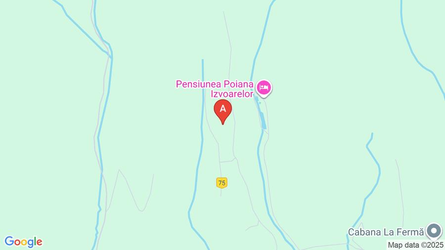 Vând casa batraneasca și teren 3892m  - 1