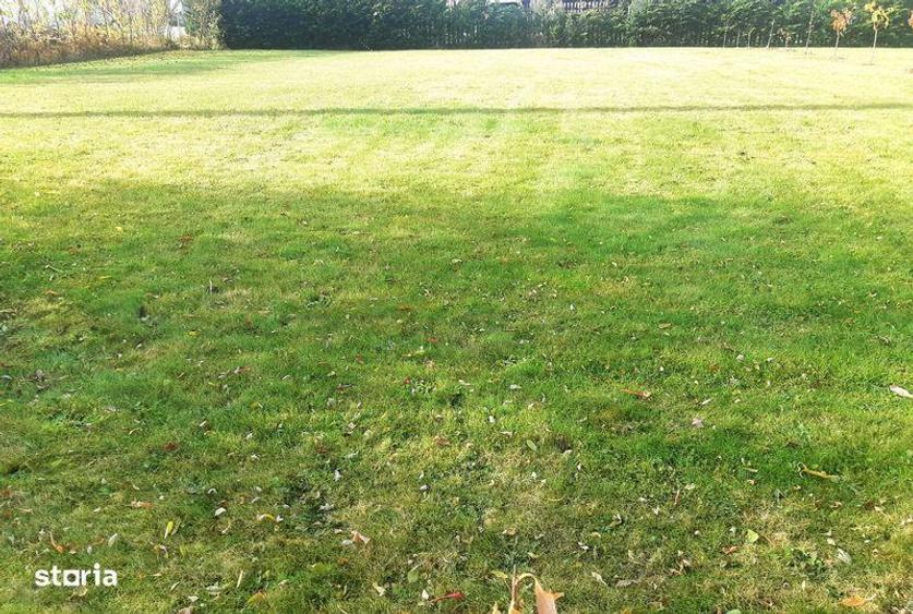 Vand teren Salicea, str. Principala, front 31ml, langa utilitati - 2