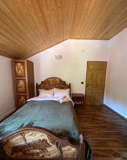 Pensiune 8 dormitoare Gureni, Gorj - 12