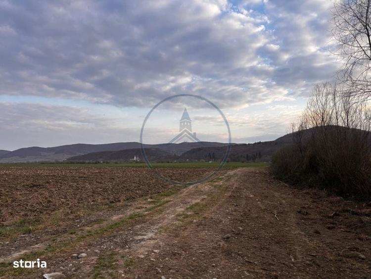 Teren extravilan de vanzare | ?ieu-Magherus | Ideal pentru cabana / r - 5