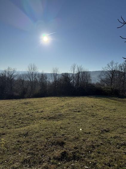 Teren de vanzare 10 000 mp - 6