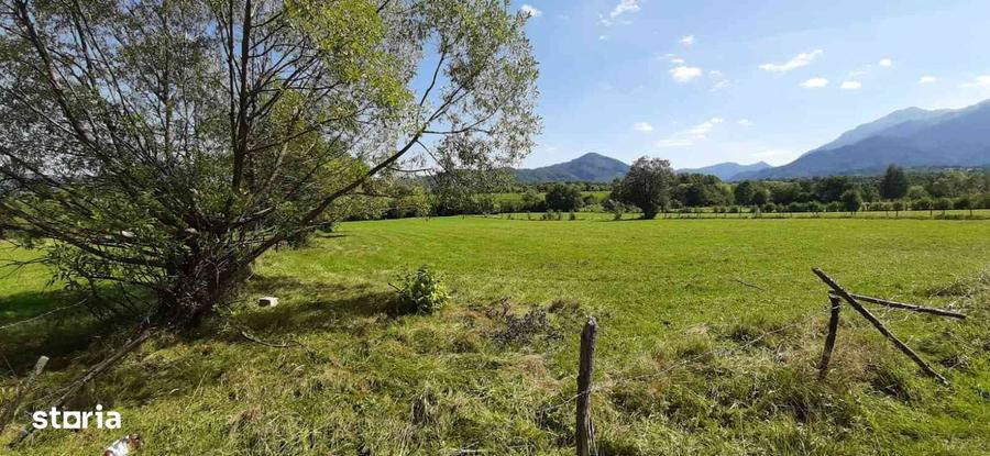 Teren BRAN SOHODOL 9350 mp. - 1