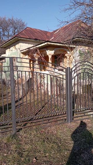 Gospodarie la tara - 1