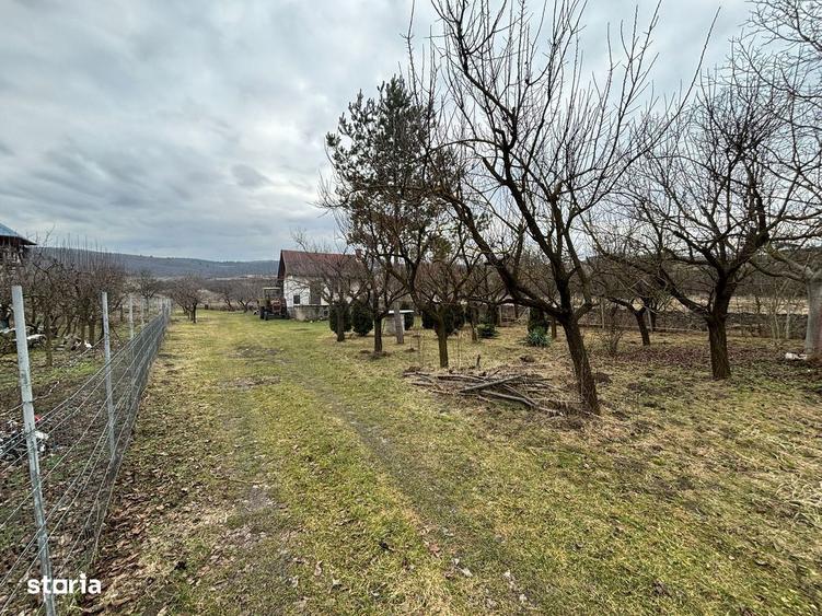 Teren intravilan construibil Sopor/Borhanci - 2