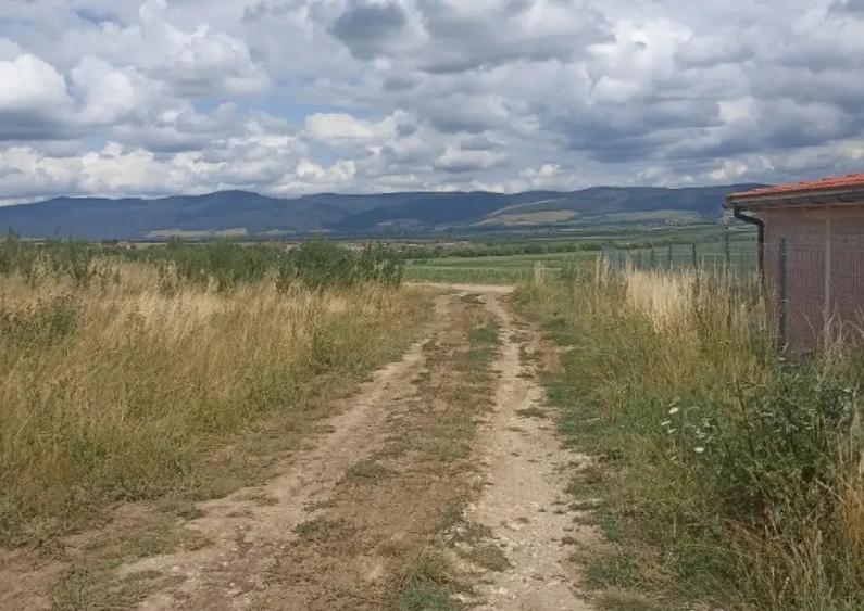 De vanzare teren extravilan in Valea Crisului - 4