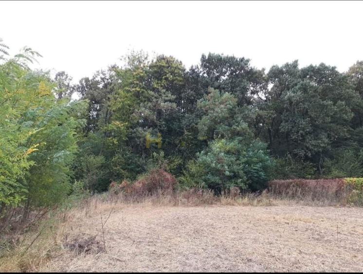 Teren Gruiu sat Lipia - 3