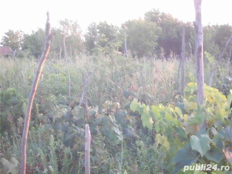 Vand casa schimb in Corabia,jud Olt - 5