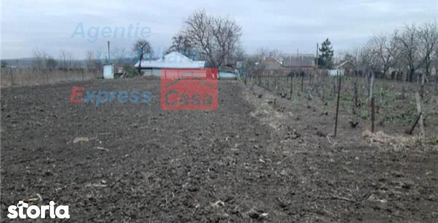 Teren de vanzare 3000 mp, Prisacani (27 km de IASI) - 6