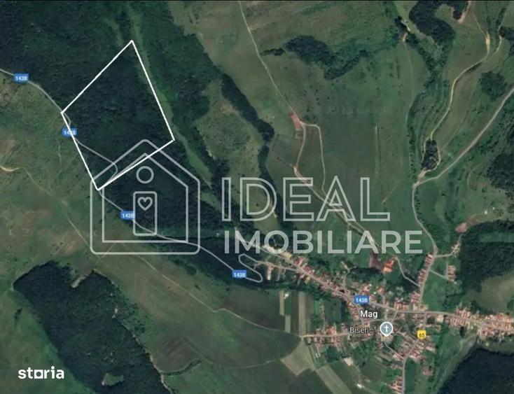 Padure matura 12,71 ha - Mag, jud. Sibiu - potential exploatare 2025 - 1