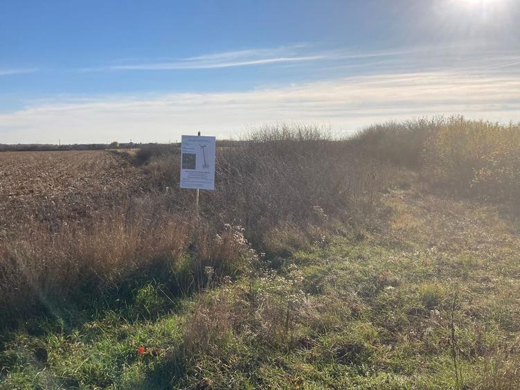 Teren agricol extravilan de 10000 mp, în Ghiroda