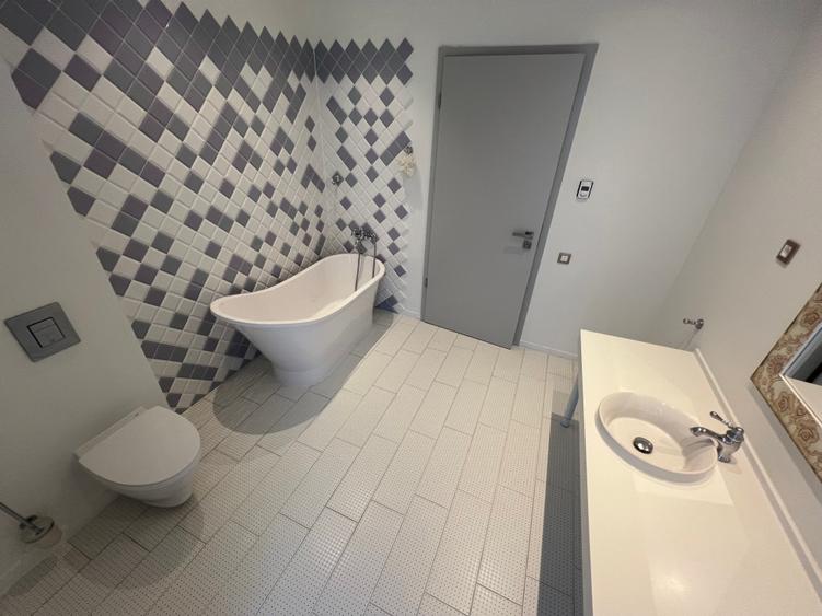 Inchiriere Vila Ultramoderna Iancu Nicolae / Modern Villa for Rent Iancu Nicolae - 24