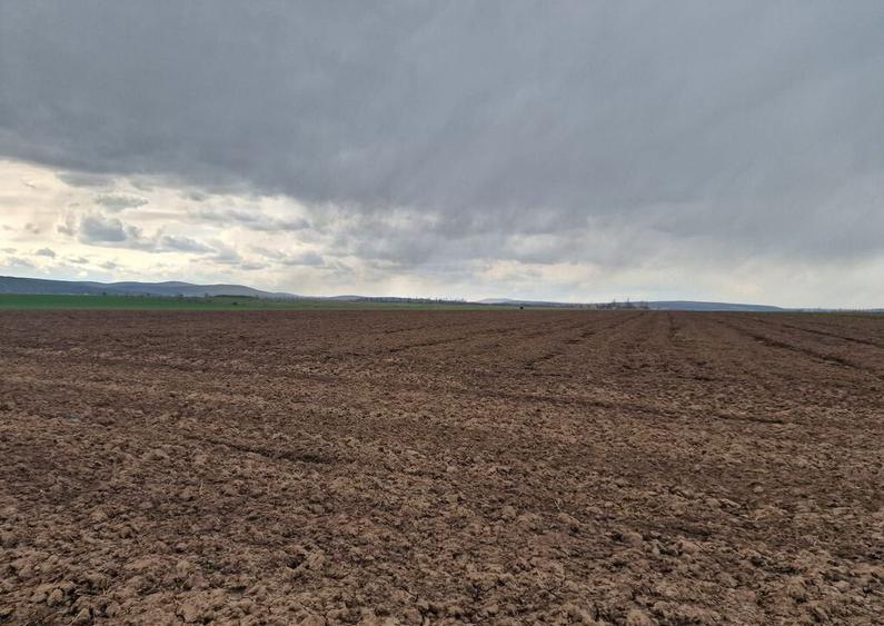 Teren 10,000mp Bacau / Strada Alexandru Safran - 7