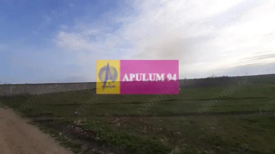 Parcela langa padure in Ilfov - 3