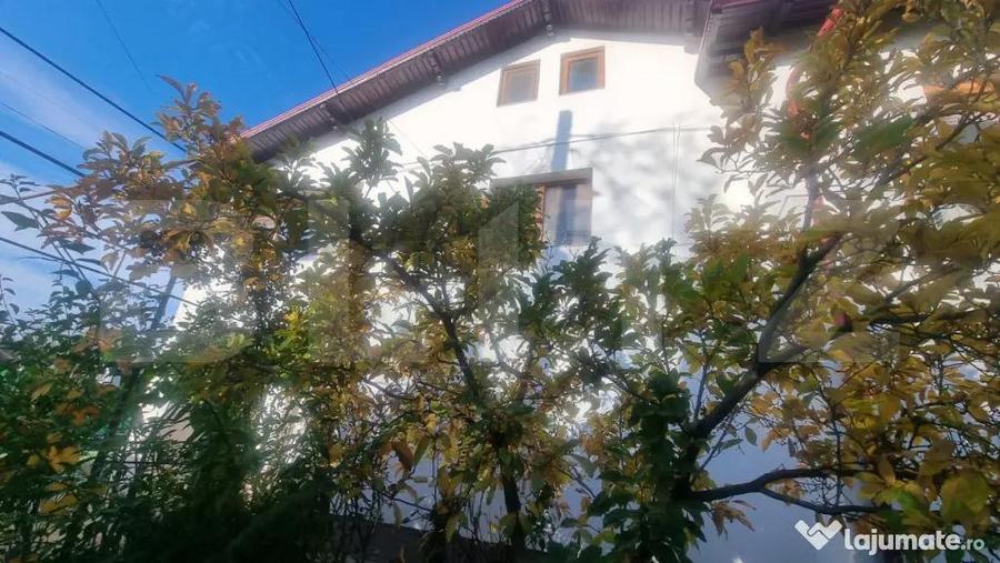 Casa-VILA deosebita ,mobilata +LIVADA - 18