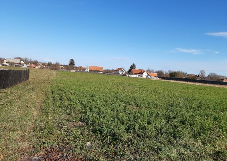 Teren intravilan central utilitati construibil Lunca Calnicului 2325mp - 4