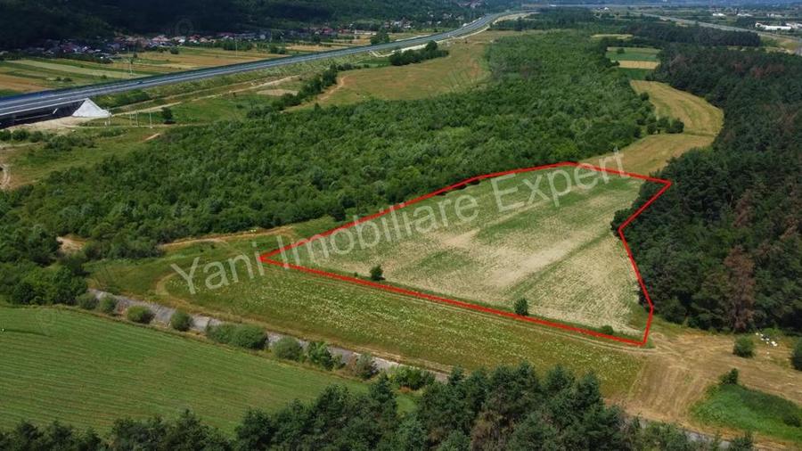 Teren de vanzare in comuna Baicule?ti, Judet Arge?. - 10