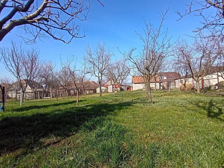 Casa in Cheriu + o casa restaurata cu 1277mp  livada si gradina - 4