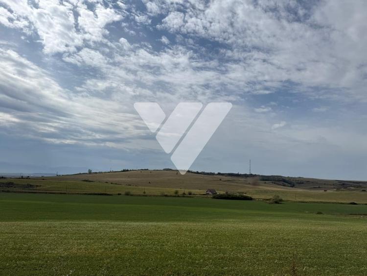 Teren extravilan de vânzare 459 mp Viile Sibiului - 3