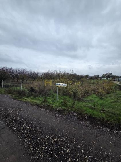 Teren Aleea Viilor Adunatii Copaceni - 4