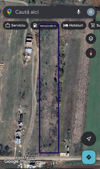 Teren Intravilan Carcea - 2