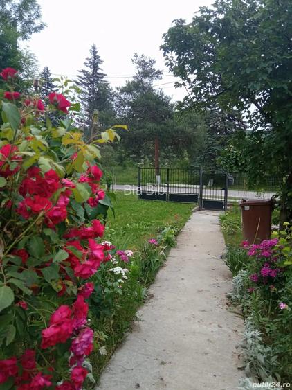 DE VANZARE! Casa slanic prahova + teren DE VANZARE! Casa slanic prahova + teren