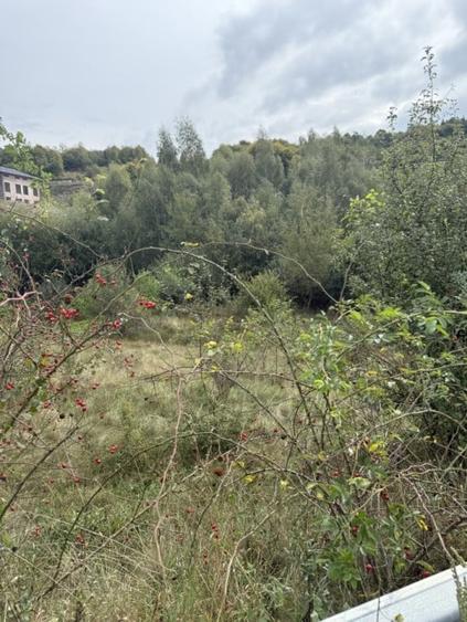 Teren 971 MP, intrare Salicea cu autorizatie , Casa Individuala - 3