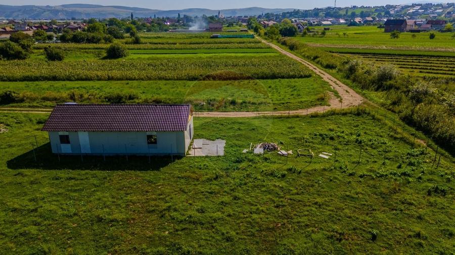 0% COMISION | Teren de vanzare Bod | 700 mp | Constructie pe teren - 5