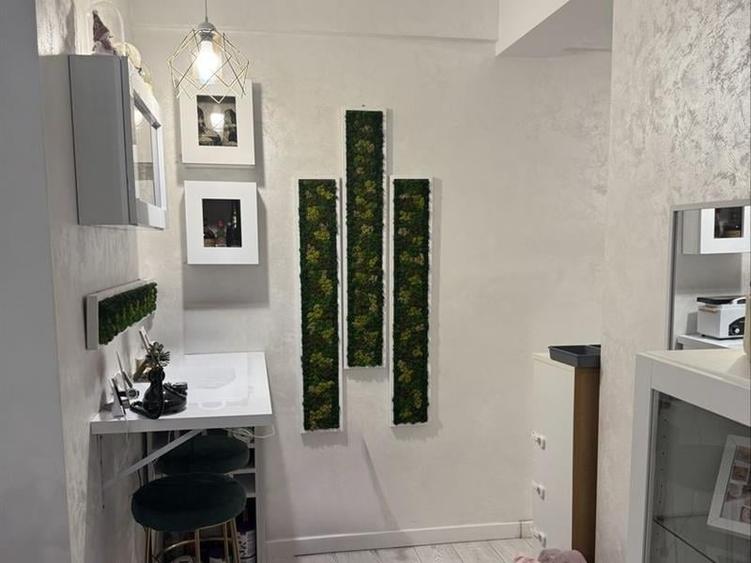 Apartament cu 2 camere decomandat, mobilat în Brazda lui Novac