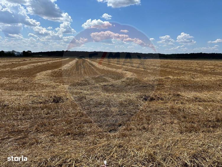 Pret imbatabil - Izvorani (1858 mp) ideal investi?ie, aproape de DN1 - 1