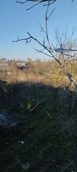 Vanzare casa Obarsia - 1