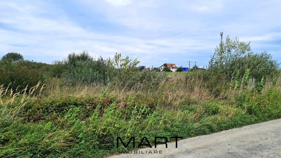 Teren extravilan 4800mp la intrare in Mohu - 2