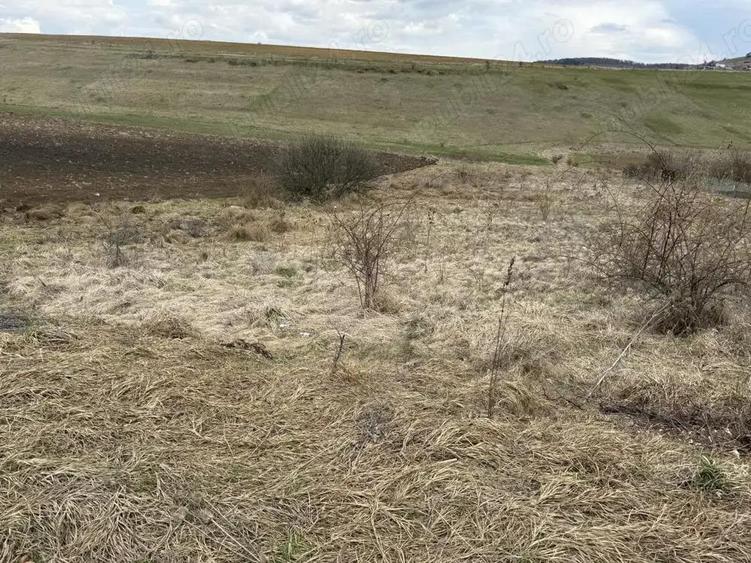 Teren intravilan in Salicea!-zona de case noi - 1