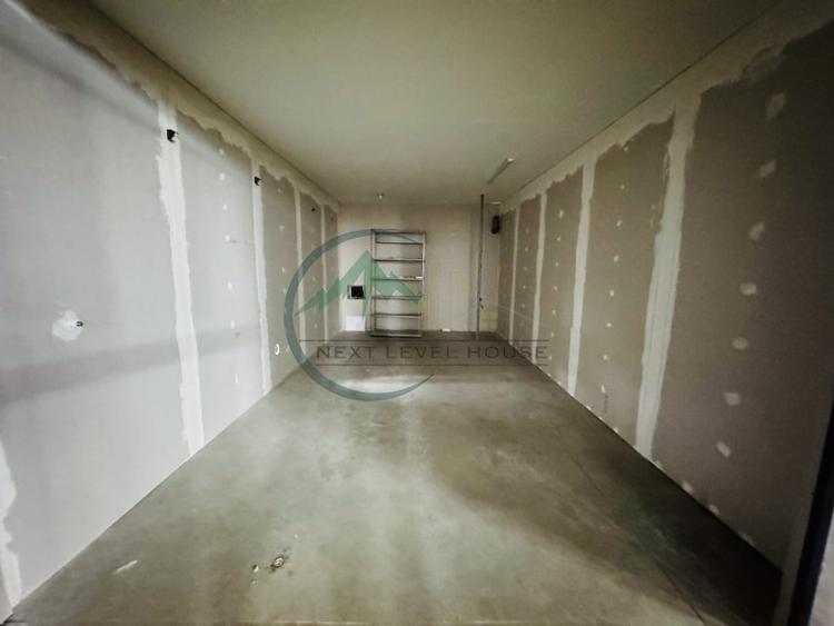 Hala Sanpetru, 220mp, poarta acces auto/tir - 4