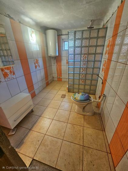 Exclusivitate! Casă cu teren generos în Sat Olteni, Com.Teișani - 34