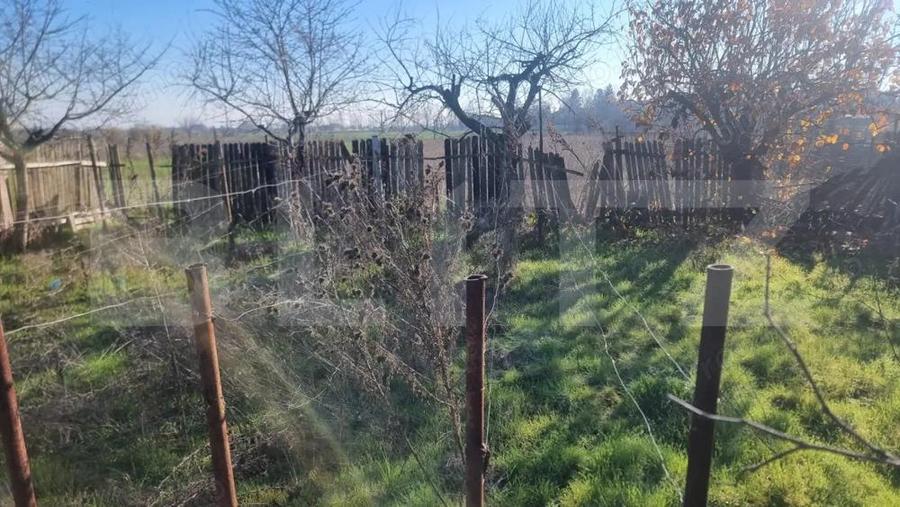 CASA +teren NEGOIESTI-PH - 3