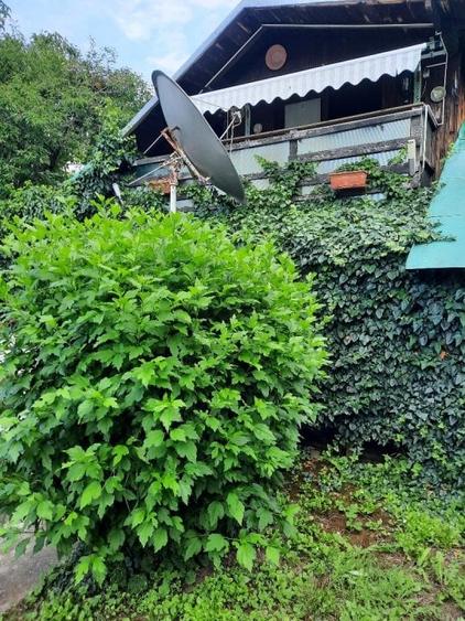 Casa Com. Cocorastii Colt-Sat Persunari-Jud.Prahova - 2