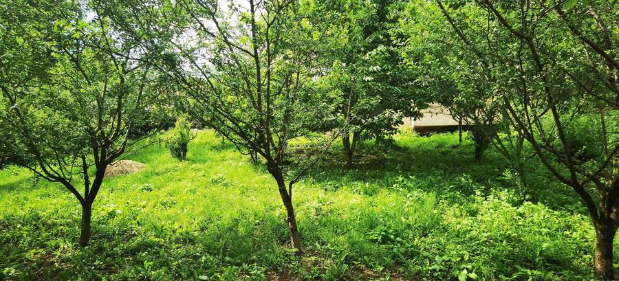 Manuel recomanda : Vila superba in Cornu de Jos 295mp , teren 1360mp - 34