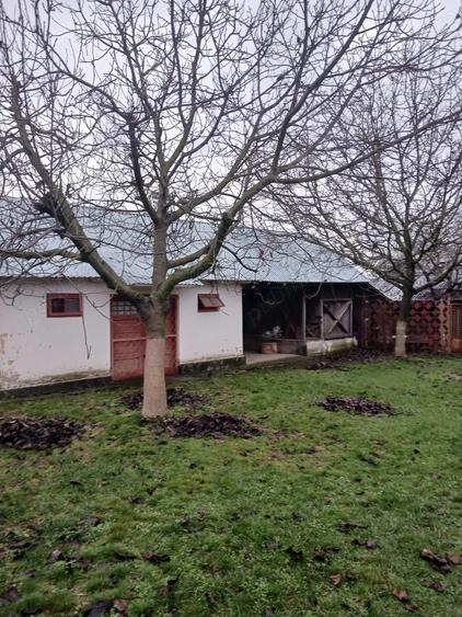 Casa cu teren de vanzare in comuna Verguleasa, jude?ul Olt - 1