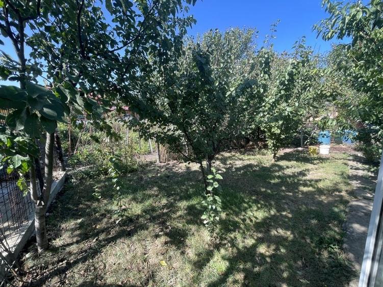 Casa cu teren 1000 mp și front 26 ml în zona Bogdanesti - 8