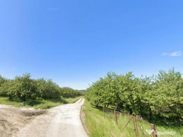 Teren de Vanzare 34.485 mp | Campulung Muscel | Zona - 7
