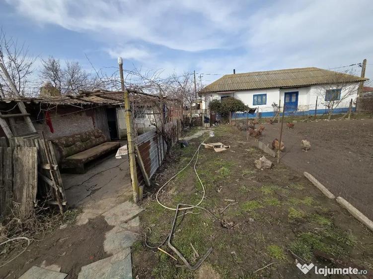 Casa + teren in SABANGIA -jud TULCEA - 1