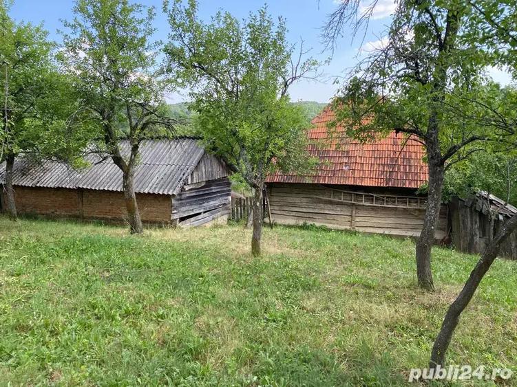 Vand casa Batraneasca - 7